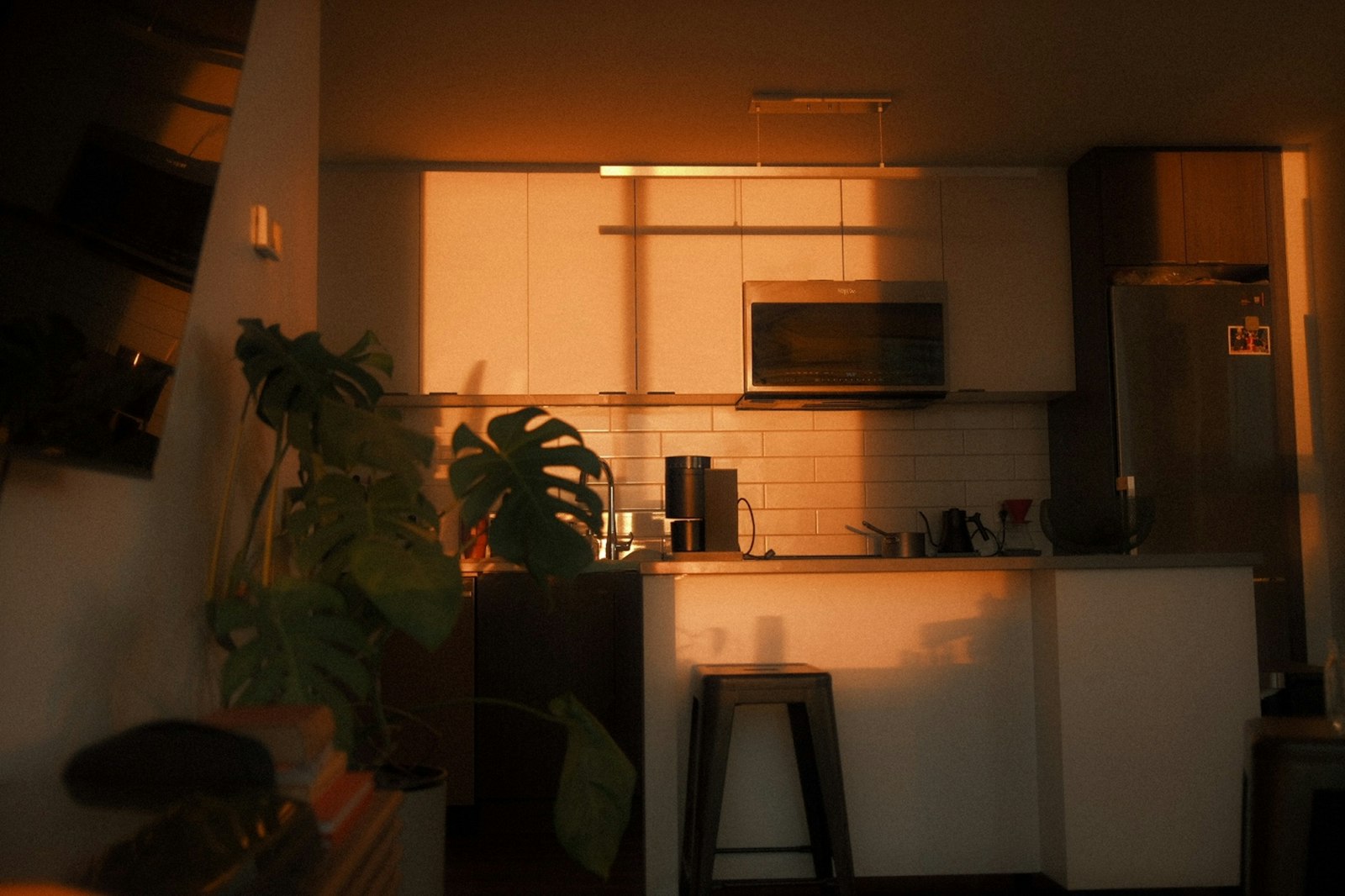kitchen interior with cabinets and a potted plant illuminated by warm sunset light